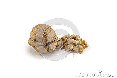 Nutmeat with shell and white bakcground Stock Photo