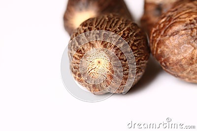 Nutmeg Stock Photo