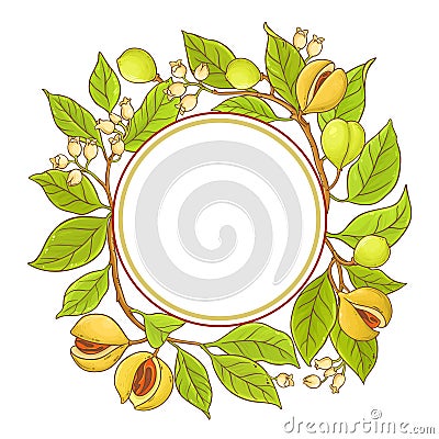 Nutmeg branch vector frame Vector Illustration