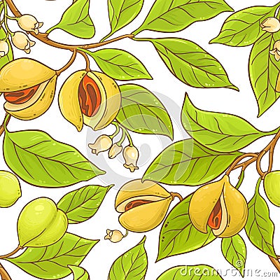 Nutmeg branch vector pattern Vector Illustration