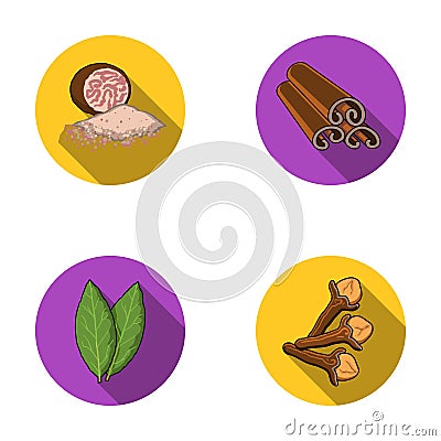 Nutmeg, cinnamon, bay leaves, cloves.Herbs and spices set collection icons in flat style vector symbol stock Vector Illustration