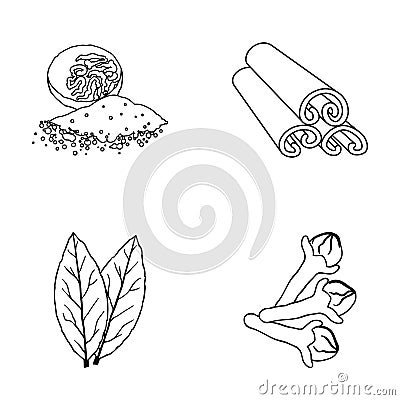 Nutmeg, cinnamon, bay leaves, cloves.Herbs and spices set collection icons in outline style vector symbol stock Vector Illustration