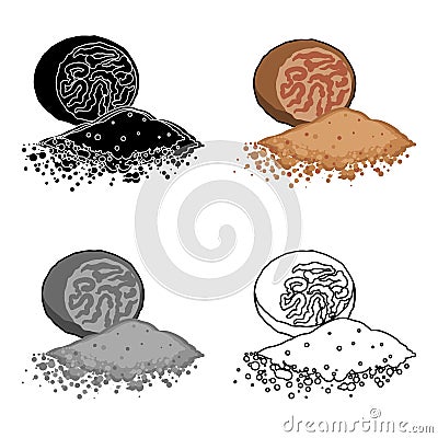 Nutmeg icon in cartoon style isolated on white background. Herb an spices symbol stock vector illustration. Vector Illustration