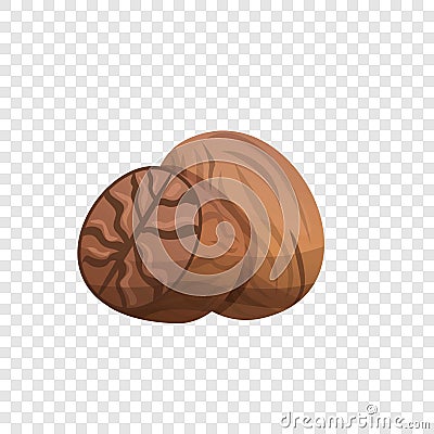 Nutmeg icon, cartoon style Vector Illustration