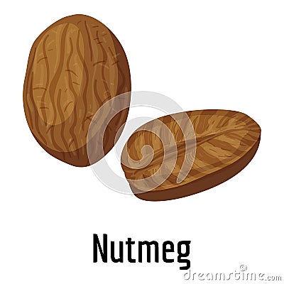 Nutmeg icon, cartoon style Vector Illustration