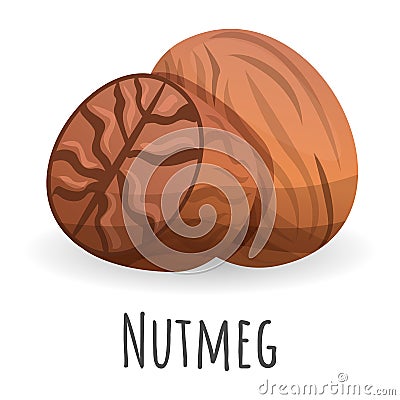 Nutmeg icon, cartoon style Vector Illustration