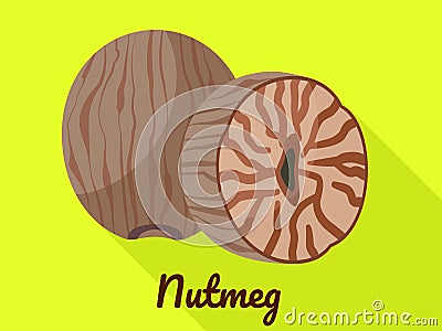 Nutmeg icon, flat style Vector Illustration