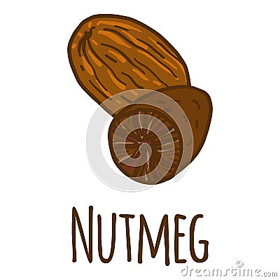 Nutmeg icon, hand drawn style Vector Illustration