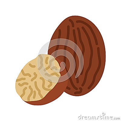 Nutmeg icon. Whole and half nutmeg. Vector illustration Vector Illustration