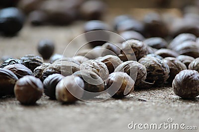 Nutmeg or Jathikka jaiphal, the exotic spice Stock Photo