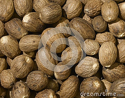 Nutmeg Stock Photo