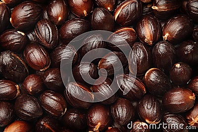 Nutmeg seed background Stock Photo