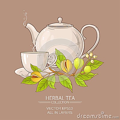 Nutmeg tea illustration Vector Illustration