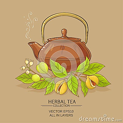 Nutmeg tea illustration Vector Illustration