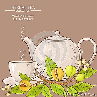 Nutmeg tea illustration Vector Illustration