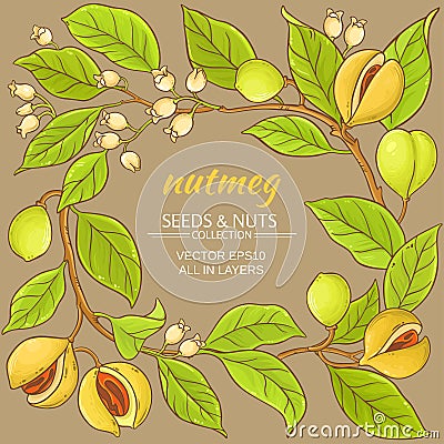 Nutmeg vector frame Vector Illustration