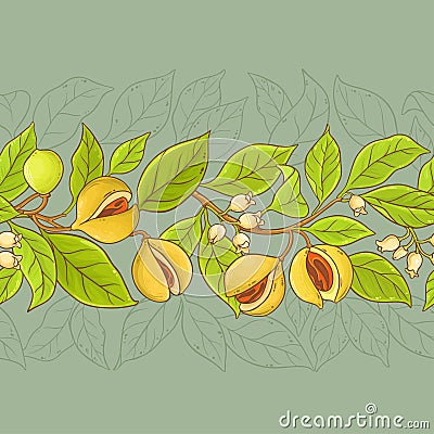 Nutmeg vector pattern Vector Illustration