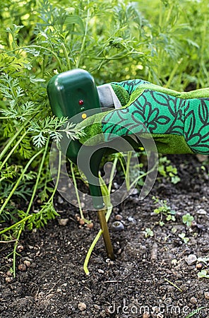 Nutrients soil meter. Measure soil for nitrogen content with digital device. Woman farmer in a garden Stock Photo