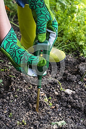 Nutrients soil meter. Measure soil for nitrogen content with digital device. Woman farmer in a garden Stock Photo