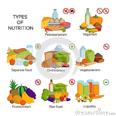 Nutririon diet food types product infographic organic vegetarian raw food concept health meal vector illustration Vector Illustration