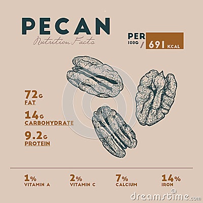 Nutririon fact of pecan sketch hand drawing Vector Illustration