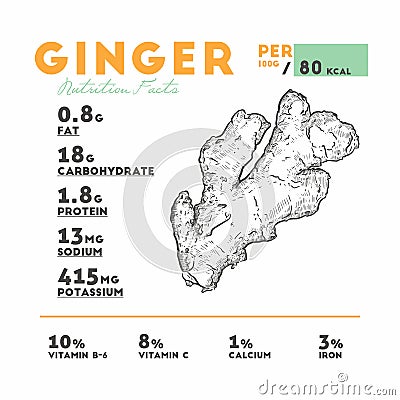 Nutrition fact of ginger, hand draw sketch vector Vector Illustration