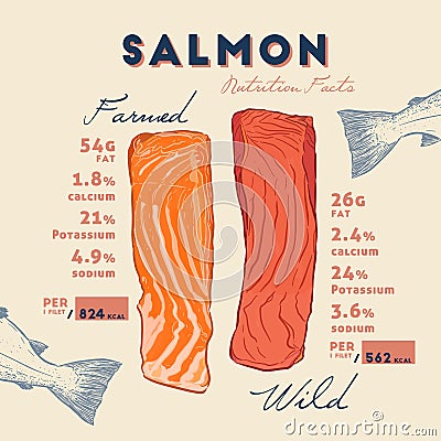Nutrition fact of Wild and farmed salmon. Vector Illustration