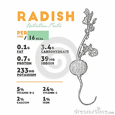 Nutrition facts of radish, hand draw sketch vector Vector Illustration