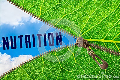 Nutrition word under zipper leaf Stock Photo