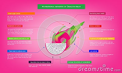 Nutritional benefits of Pitaya or Dragon fruit Infographic about nutrients in Avocado Fruit and agriculture vector illustration Vector Illustration