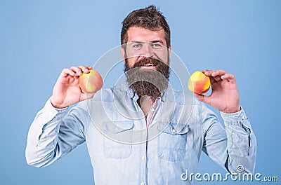 Nutritional choice. Man with beard hipster hold apple fruit in hand. Nutrition facts and health benefits. Apples popular Stock Photo