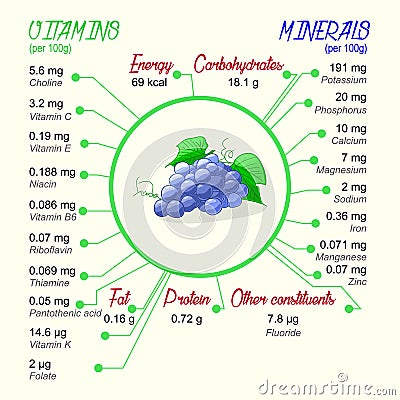 Nutritional value of grapes Vector Illustration