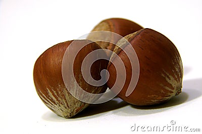 Nuts Stock Photo