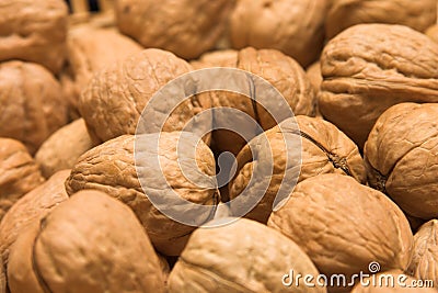 Nuts Stock Photo