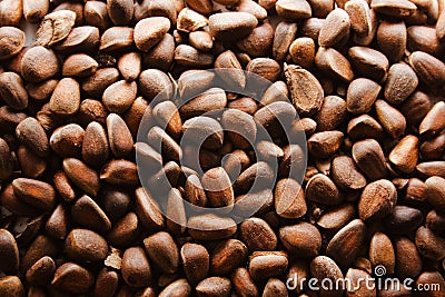 Nuts Stock Photo