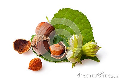 Nuts hazelnuts isolate on white Stock Photo