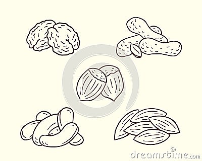 Nuts Icon Set Vector Illustration