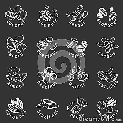 Nuts icons set Vector Illustration