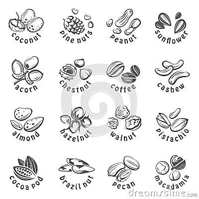Nuts icons set Vector Illustration