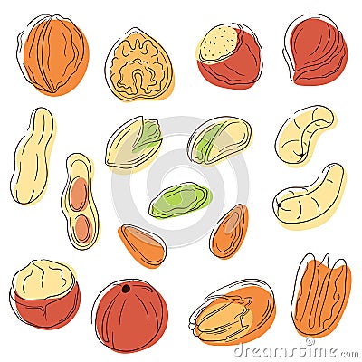 Nuts icons set in line art style. Peanut, pecan, cashew, hazelnut, macadamia, walnut, almond, pistachio. Vector Vector Illustration