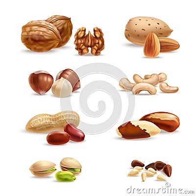 Nuts Vector Illustration