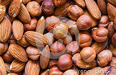 Nuts pile background. Cashew, almond, hazelnut mix closeup. Organic food rustic banner template. Stock Photo