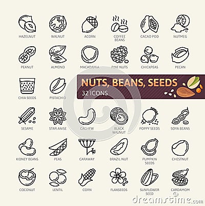 Nuts, seeds and beans elements - minimal thin line web icon set. Outline icons collection Vector Illustration