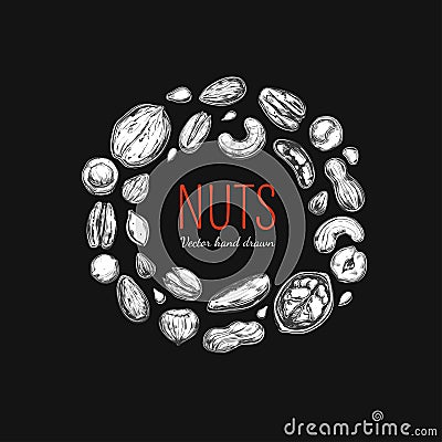 Nuts and seeds collection Vector Illustration