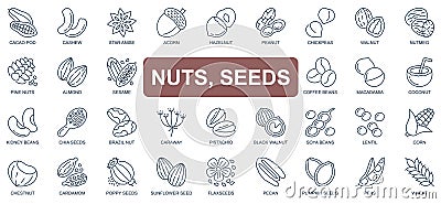 Nuts and seeds concept simple line icons set. Vector Illustration