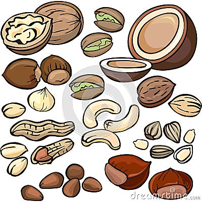 Nuts, seeds icon set Vector Illustration