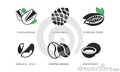 Nuts and seeds icons set, pistachio, cedar nut, cocoa pod, brazil, coffee beans, coconut monochrome vector Illustration Vector Illustration