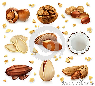 Nuts in the shell, vector icon set Vector Illustration