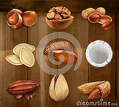 Nuts in the shell. Vector icon set Vector Illustration