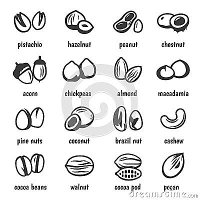 Nuts varieties bold black silhouette and line icons, pictograms set isolated on white. Vector Illustration
